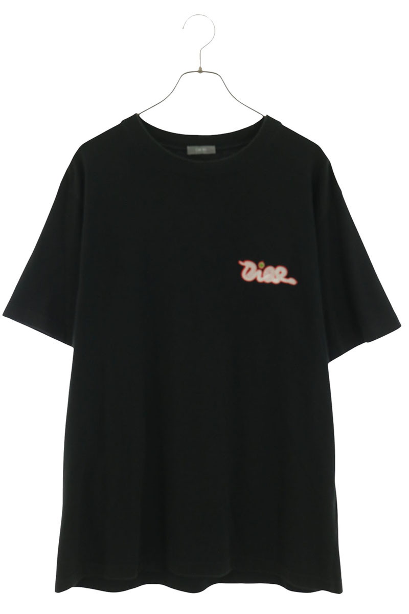 DIOR KAWSロゴワッペンTシャツ